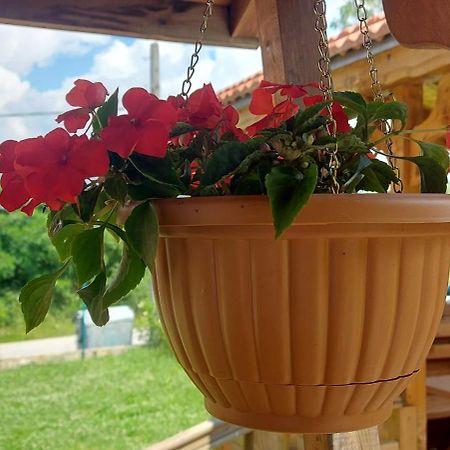 Mini Complex Rilski Terasi Sapareva Banja Exteriér fotografie