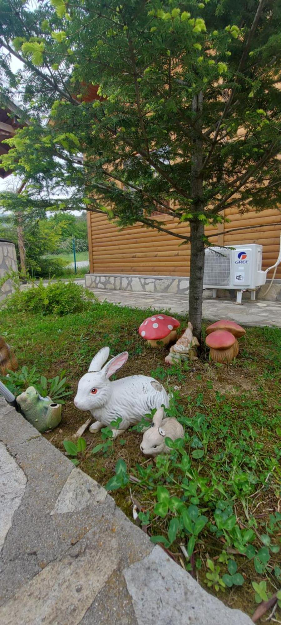 Mini Complex Rilski Terasi Sapareva Banja Exteriér fotografie
