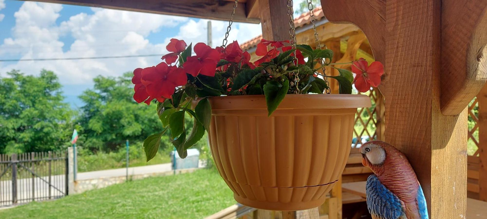 Mini Complex Rilski Terasi Sapareva Banja Exteriér fotografie